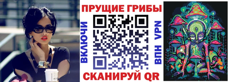 Псилоцибиновые грибы мицелий Рубцовск