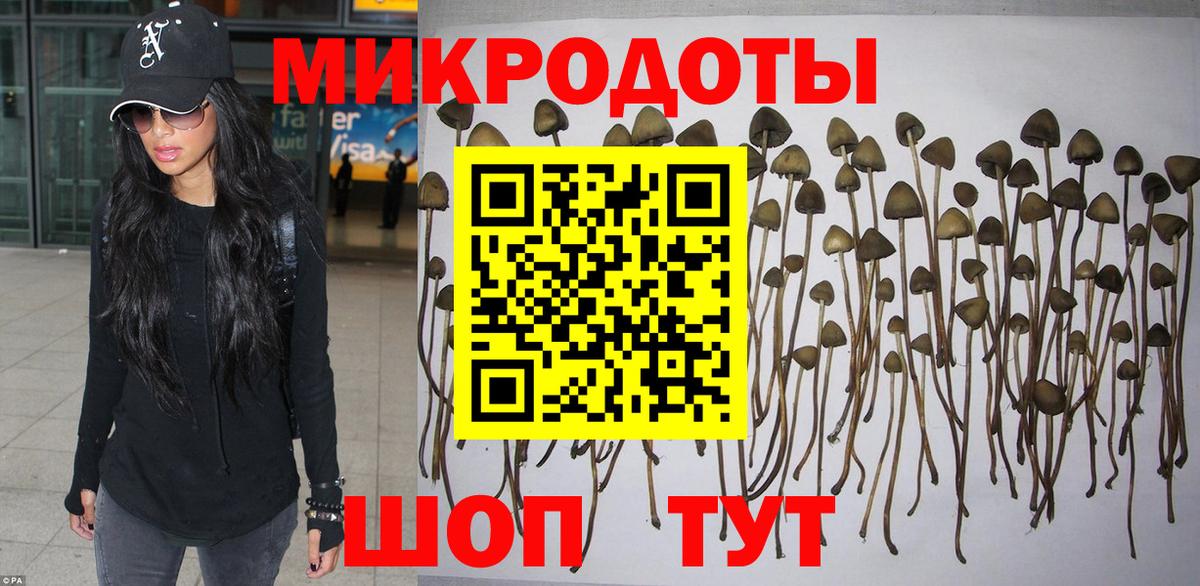 сколько стоит  Вход с VPN  Рубцовск  Галлюциногенные грибы мухоморы  Псилоцибиновые грибы Psilocybe 