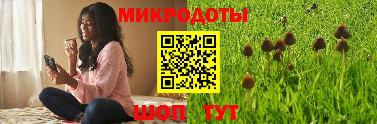 Галлюциногенные грибы GOLDEN TEACHER Рубцовск